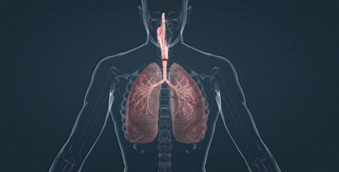 Emfizem pluća