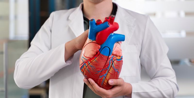 Vaskularna hirurgija