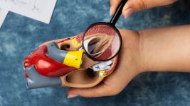 Disekcija aorte: Uzroci, simptomi i lečenje