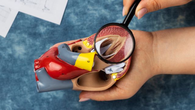 Disekcija aorte: Uzroci, simptomi i lečenje Disekcija aorte: Uzroci, simptomi i lečenje