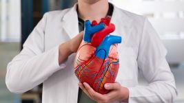 Vaskularna hirurgija: Ključne metode i tretmani